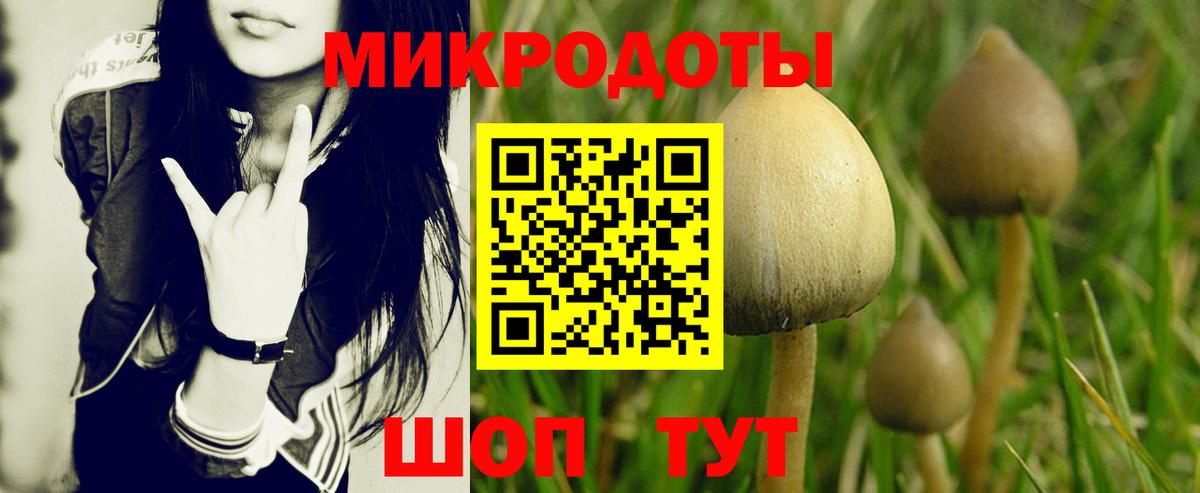 Галлюциногенные грибы Cubensis Сергиев Посад
